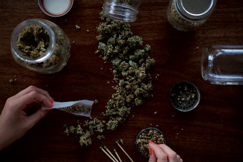 A large amount of marijuana on a table, some in glass jars.